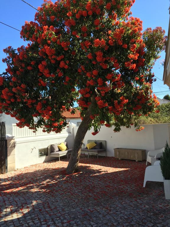 Cosy Sintra Hotel Exterior photo