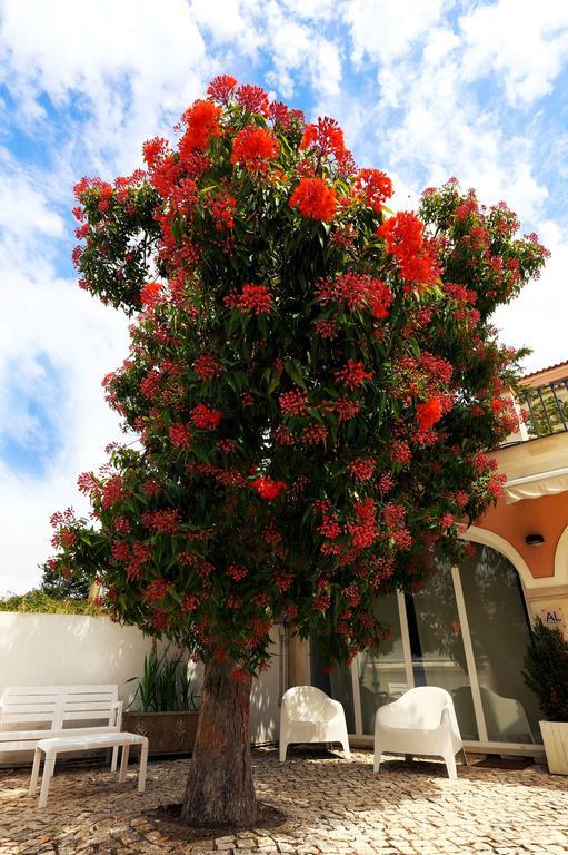 Cosy Sintra Hotel Exterior photo